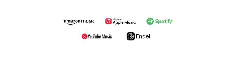Logos of Amazon Music, Apple Music, Spotify, YouTube Music, and Endel