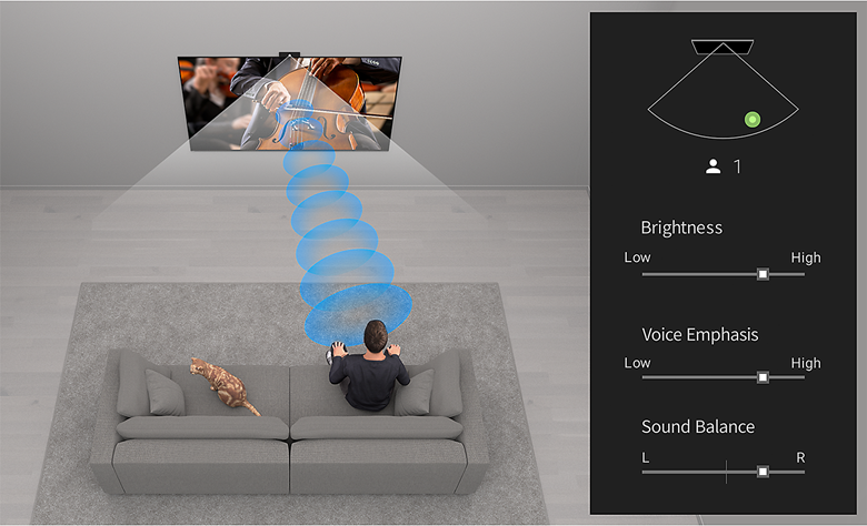 Top view of person and cat on sofa with a concert playing on a wall-mounted TV, blue sound waves between the TV and person and BRAVIA Cam settings on right of screen.